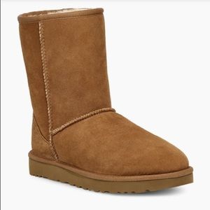 UGG Chestnut Brown Classic Short Boots